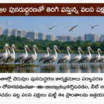 తమిళనాడులో రాజకీయ పరిణామాలపై ఆసక్తి