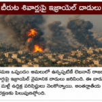 ముదుమలై టైగర్ రిజర్వ్‌లో జింకల సందడి