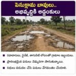 చెత్త కుప్పలోనే ఆవులు