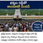 కమలం రోడ్డు అభివృద్ధి పనులకు శ్రీకారం