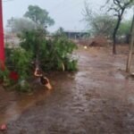 ఉమామహేశ్వర ఆలయం జీవ ధ్వజస్తంభ ప్రతిష్ట వైభవం గా ముగిసిన వేడుక