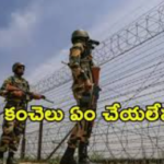 బెంగాల్‌లో మంత్రివర్గ విస్తరణ.. 35 మంది ఎమ్మెల్యేలకు మంత్రి పదవులు