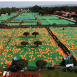 Massive preparations made across the country for Yoga Day