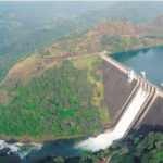 Protest over removal of Kerala representative from Mullaperiyar Dam Committee