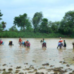 Public participation is key in environmental protection