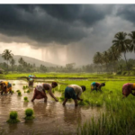 യുപിഐ സേവനങ്ങൾ ഗ്രീസിലേക്കും വ്യാപിച്ചു.. ഡിജിറ്റൽ പേയ്‌മെന്റുകളിൽ മറ്റൊരു നാഴികക്കല്ല് കൂടി