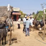 శ్రీకాళహస్తిలో ముగిసిన ఆల్ ఇండియా బాల్ బ్యాడ్మింటన్ టోర్నమెంట్
