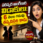 ಆಂಧ್ರಪ್ರದೇಶ ಹೈಕೋರ್ಟ್ ತೀರ್ಪು 6 ತಿಂಗಳ ಕೂಲಿಂಗ್ ಅವಧಿಗೆ ವಿನಾಯಿತಿ ನೀಡಿದೆ.