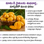 దశాబ్దాల కల సాకారం.. అభివృద్ధి పనులకు గ్రీన్ సిగ్నల్