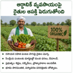 స్టార్టప్‌లకు కొత్త అవకాశాలు.. యువతలో ఉత్సాహం