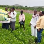 UPI చెల్లింపుల్లో కీలక మార్పులు.. యూజర్ల గోప్యతకు ప్రాధాన్యం