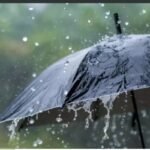 సముద్రాలలో పత్తి మొలకలకు ప్రాణం పోసిన ముసురు వర్షం