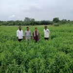 చెక్‌డ్యాముల జలకళతో రైతుల్లో ఆనందం