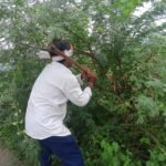 ఏపీ రేషన్ వ్యవస్థలో కీలక మార్పులు ప్రకటింపు