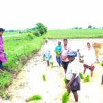 నాగర్ కర్నూల్ జిల్లాలలో పనిచేస్తున్న విబిజి రాంజీ ఉద్యోగుల సమస్యలపై జిల్లా కలెక్టర్ కు వినతిపత్రం