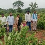 🔴 భారీ వర్షాలు.. నేడు పాఠశాలలకు సెలవు
