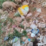 బీసీ భవన్‌లో తాత్కాలిక బీసీ బాలికల వసతి గృహం ఏర్పాటు చేయాలి: బీసీ యునైటెడ్ నేషనల్ ఫ్రంట్ డిమాండ్