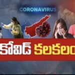 ఘనంగా హతీరాం బావాజీ 597వ జయంతి వేడుకలు*