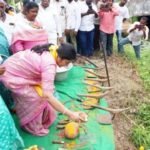 వీబీ-జీ రామ్‌జీ పథకాన్ని ప్రారంభించిన ఎమ్మెల్యే ప్రశాంతి రెడ్డి!