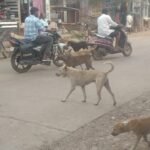 రహదారులను ఉద్దేశపూర్వకంగా లేదా నిర్లక్ష్యంగా దెబ్బతీయడం చట్టరీత్యా నేరం.
