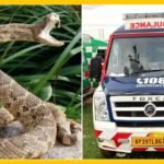 ఉన్నత విద్యలో విద్యార్థుల నమోదు 31 శాతం పెరిగింది