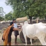 ఏకం ఆలయంలో గురు పూర్ణిమ మహోత్సవాలకు ఆహ్వానం