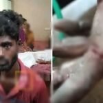 ఆత్మకూరు: కుక్కల దాడిలో చుక్కల దుప్పి మృతి