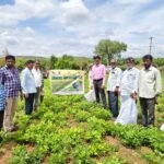 చిట్టత్తూరు లో నడివీధి గంగమ్మకు చల్లతో ప్రత్యేక పూజలు