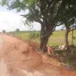 ఆపదలో తోడుగా నిలిచిన స్నేహితులు