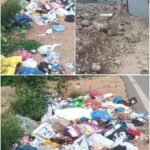 మల్లాపూర్‌లో వుడ్ చిప్పర్, బయోచార్ కిల్న్ పరిశీలన