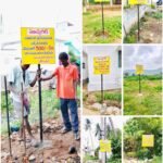గాడిలంక గ్రామంలో ఆర్ ఓ వాటర్ ప్లాంట్ ను ప్రారంభించిన శాసనసభ విప్ దాట్ల సుబ్బరాజు