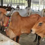 బీఆర్ఎస్ పార్టీ వర్కింగ్ ప్రెసిడెంట్, మాజీ మంత్రి కల్వకుంట్ల తారక రామారావు (కేటీఆర్) గారి పిలుపుమేరకు