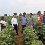 నాగర్ కర్నూల్ : సమర భేరి: ఉద్యోగ జేఏసీ ఆధ్వర్యంలో ధర్నా