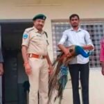 ఇదే మీ స్వాతంత్రం