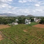 మనకు ప్రాణం పోసిన ఆ భగవంతుడు ప్రాణాపాయ స్థితిలో ఉన్న మరొకరికి ప్రాణాన్నిచ్చే అవకాశాన్ని మనకిచ్చాడు.