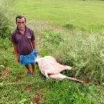 వెంగారెడ్డి కండ్రిగ ఎంపీపీ స్కూల్ లో విద్యా సామాగ్రి పంపిణీ*