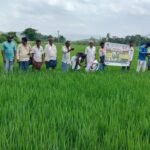 జీవిత బీమా ఎందుకు అవసరం?