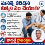 సీడబ్ల్యూసీ కీలక సమావేశం