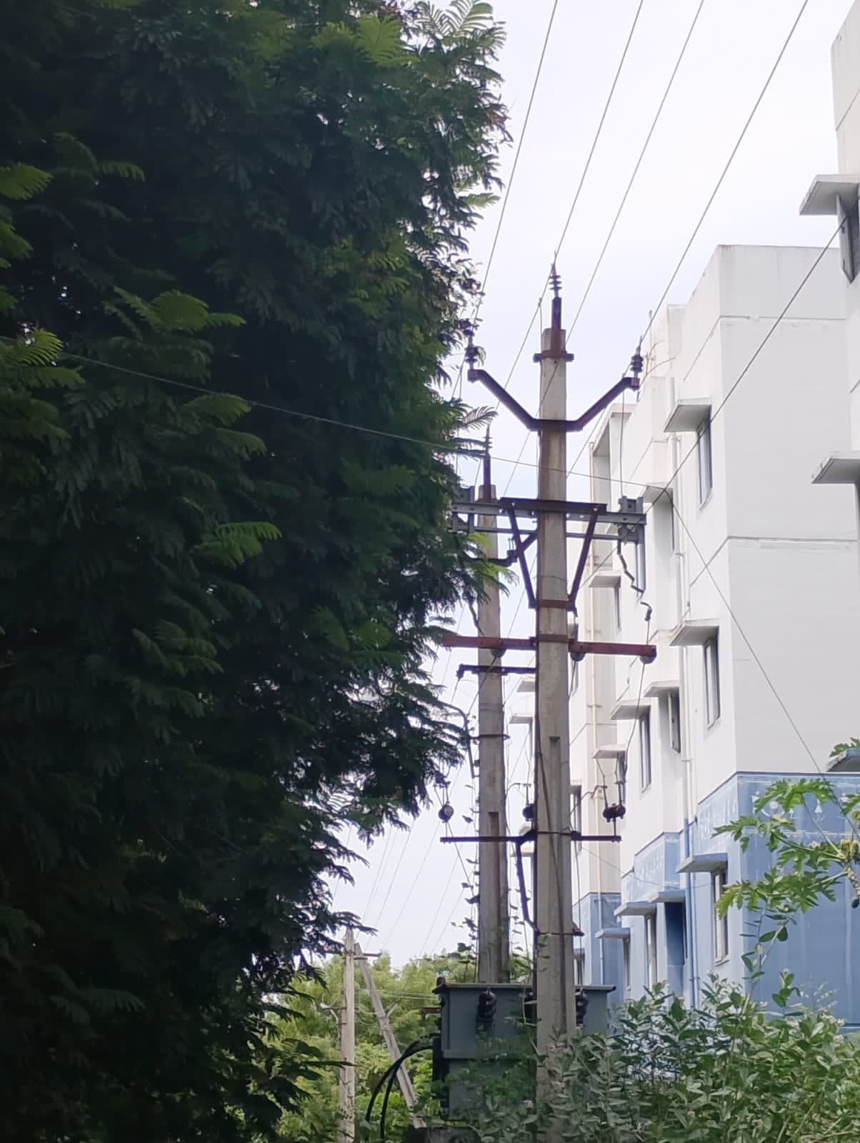 ఏపీ టిట్కో అపార్ట్మెంట్ ప్రజలకు పొంచి ఉన్న ప్రమాదం….చెట్టును తొలగించకుండా నిర్లక్ష్యంగా వ్యవహరిస్తున్న విద్యుత్ శాఖ మరియు మున్సిపల్ శాఖ