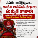 ఫారెస్ట్ బీట్ ఆఫీసర్ కు నివాళులర్పించిన కలెక్టర్,