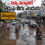 పార్టీసేవే జీవిత సరిహద్దు డోర్ టు డోర్ లో టిడిపి శంకర్