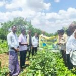 *మాతమ్మ తిరునాళ్లకు చెవిరెడ్డి హర్షిత్ రెడ్డి సారె సమర్పణ*
