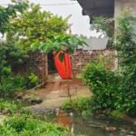 మట్టి వినాయకుడిని పూజిద్దాం పర్యావరణాన్ని కాపాడుదాం