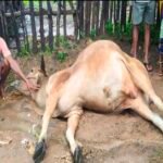 సిరిసిల్లలో జెండా ఎగిరేస్తామన్న నేతలు