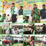 ఎల్ఐసీ 70 ఏళ్లు పూర్తి.. రూ.57.29 లక్షల కోట్ల ఆస్తులతో అగ్రస్థానం