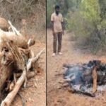 రోడ్డు ప్రమాద బాధితులను పరామర్శించిన జిల్లా కలెక్టర్