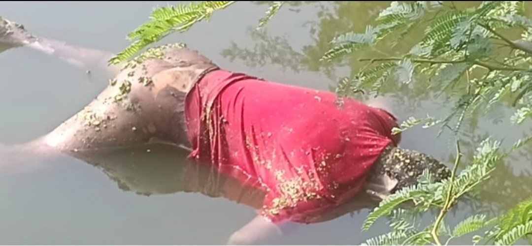 శాఖల వారీగా అధికారులకు సూచనలు
