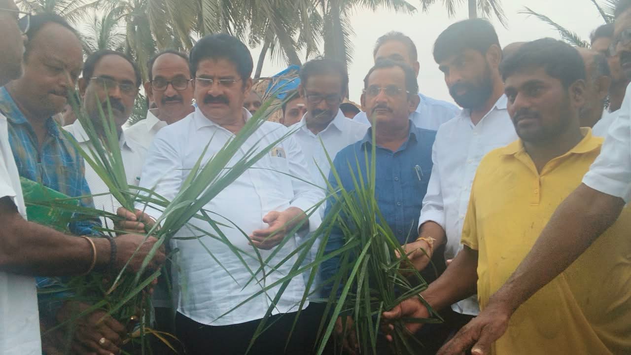 శిశు సంరక్షణే అందరి బాధ్యత మంగపేటలో ఘనంగా పోషణ మహోత్సవాలు