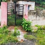 గ్రీన్ గణేష్‌తో పర్యావరణ పరిరక్షణకు పిలుపు