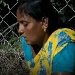 *టీటీడీ ఎస్వీ గోసంరక్షణ ట్రస్ట్‌కు రూ.1.11 కోట్ల భారీ విరాళం*